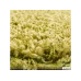 Ворсистий килим «GREEN»